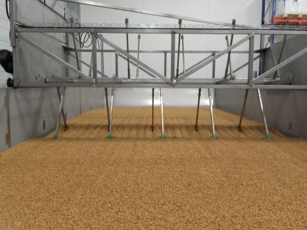 Maltage : mise en trempe de la céréale pour le malt de la malterie des volcans