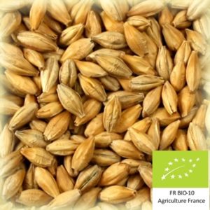 Volca 10 : Malt d'orge de base bio et conventionnel local et artisanal pour brasseurs professionnels et amateurs Auvergne, pale ale