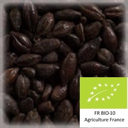 Volca torref 1200 : Malt d'orge torréfié bio et conventionnel local et artisanal pour brasseurs professionnels et amateurs Auvergne, chocolat, black, carafa