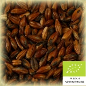 Volca torref 500 : Malt d'orge torréfié bio et conventionnel local et artisanal pour brasseurs professionnels et amateurs Auvergne, café, spécial b