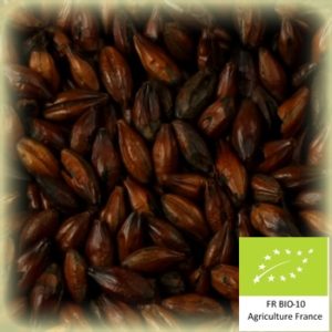 Volca torref 900 : Malt d'orge torréfié bio et conventionnel local et artisanal pour brasseurs professionnels et amateurs Auvergne, chocolat