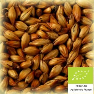 Volca torref 150 : Malt d'orge torréfié bio et conventionnel local et artisanal pour brasseurs professionnels et amateurs Auvergne, crystal, café