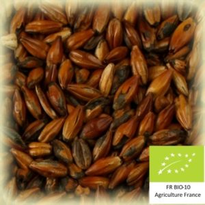 Volcara 300 : Malt d'orge torréfié bio et conventionnel local et artisanal pour brasseurs professionnels et amateurs Auvergne, cafe light