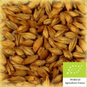 Volcara 80 : Malt d'orge caramel bio et conventionnel local et artisanal pour brasseurs professionnels et amateurs Auvergne, aroma