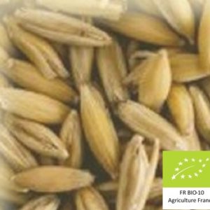 Volc'avoine : Malt d'avoine bio local et artisanal pour brasseurs professionnels et amateurs Auvergne, oat